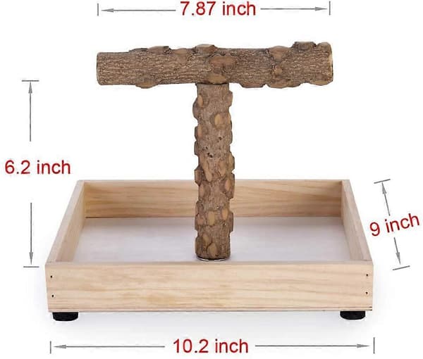 Bird Stand Tabletop, Portable T-Stand, Parrot Play Stand Gym for Small Medium Parrots