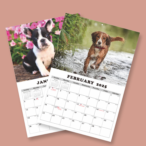 2025 Hund Vegghengt Kalender Dyrestil Kalender