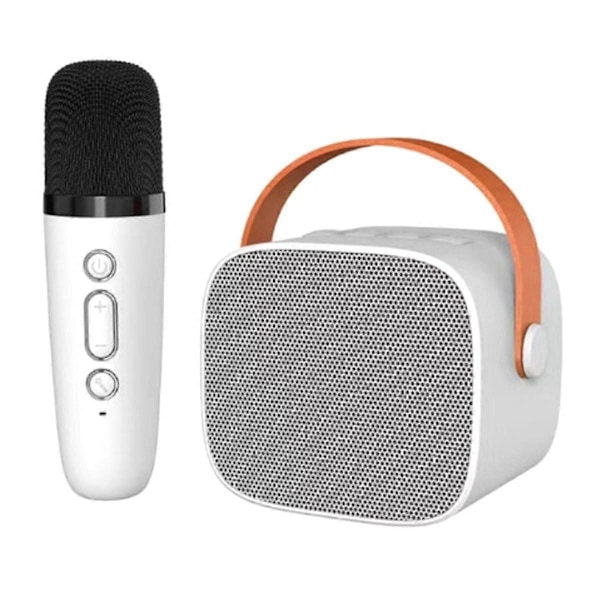 Bluetooth-högtalare med 1 trådlös mikrofon, musikspelare för vuxna och barn, subwoofer-system W