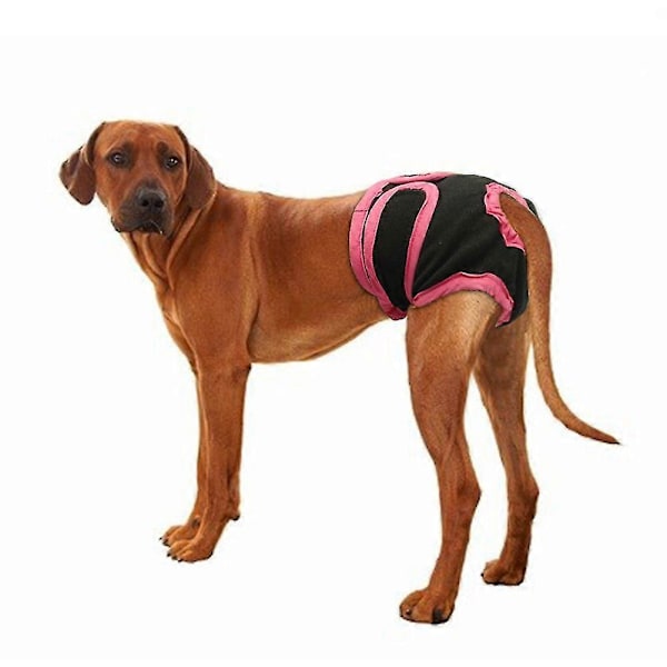 Tvättbara Hundblöjor för Tikar, Återanvändbara Blöjbyxor för Tikar, Superabsorberande och Bekväma Black L