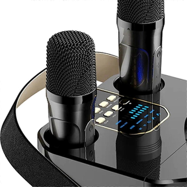 Högpresterande Karaoke Bluetooth-högtalare Bärbar 360° Stereo Surround Trådlös Subwoofer med Dubbla Mikrofoner Svart