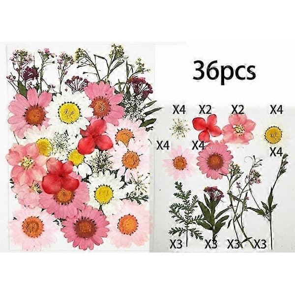 36 ægte tørrede pressede blomsterblade til DIY-lys, harpikssmykker, neglevedhæng, håndværk