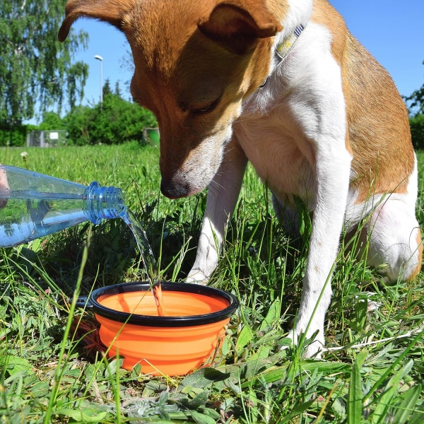 Hopfällbar röd hund- och kattskål i silikon med karbinhake - storlek XL - röd - 1000ML - 60014340