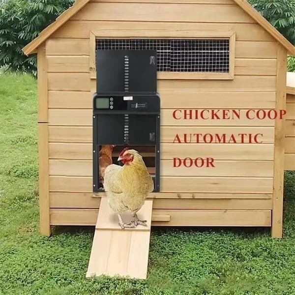 Automatic Chicken Coop Door, Automatic Chicken Hatch, Automatic Chicken Coop Door with Timer in Aluminum Alloy, IP45 Waterproof LED Display, A