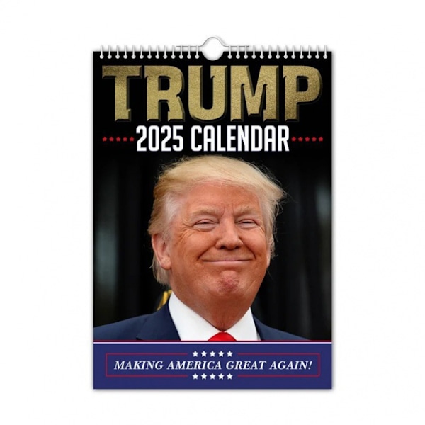 2025 Wall Calendar - Funny - A3 Size / Quirky / Christmas / Birthday / Gift Idea / Gift