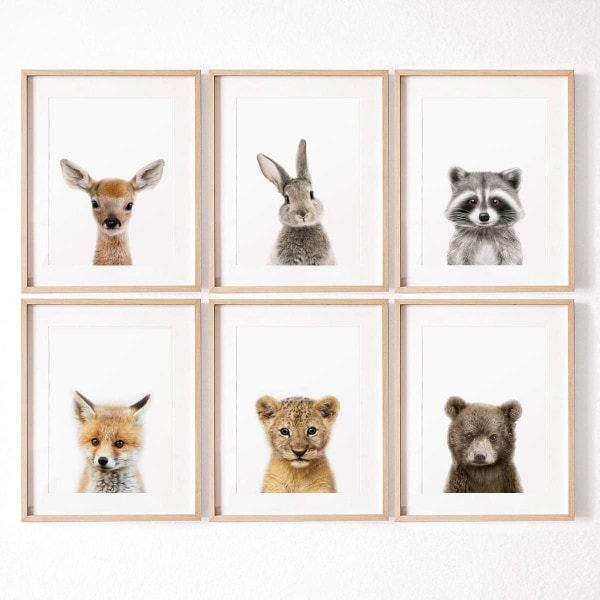 Heyone Animal Prints Barnkonstdisplay för väggdekor för barnkammare Set med 6 Zoo Tiger Raccoon Sika Hjort Brunbjörn Kanin Räv Akvarellkonstaffischer