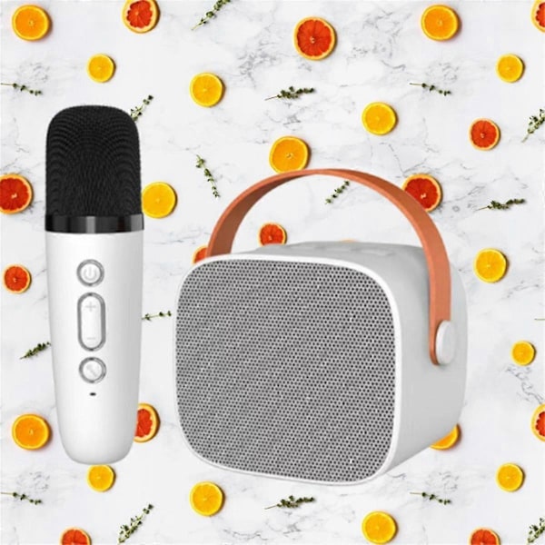 Bluetooth-högtalare med 1 trådlös mikrofon, musikspelare för vuxna och barn, subwoofer-system W