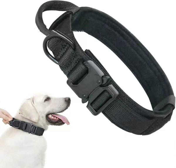 XL, Sort Nylon Taktisk Hundehalsbånd