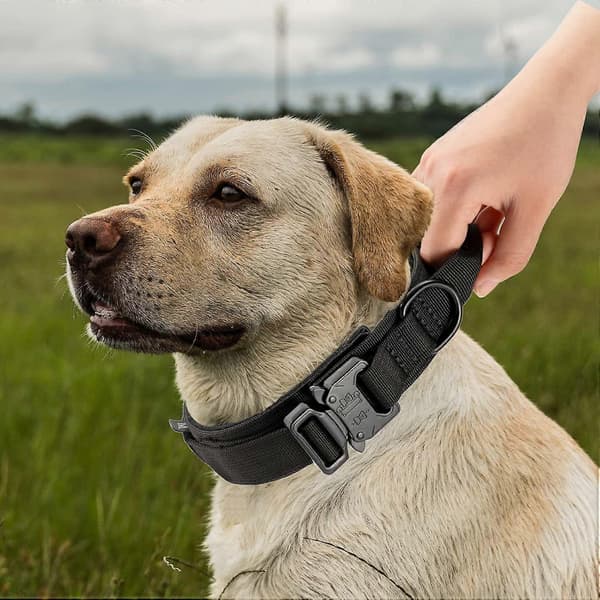 XL, Sort Nylon Taktisk Hundehalsbånd