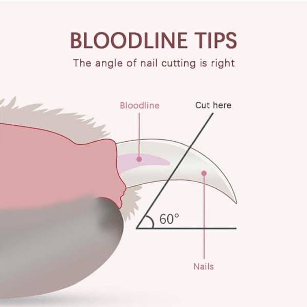 Nail clipper with light / Nail clipper for dog & cat - Nail clipper white