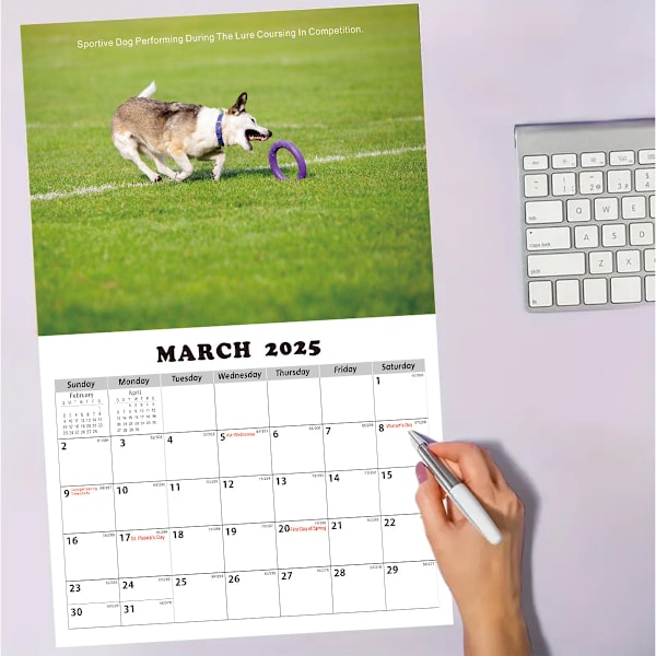 2025 Engelsk veggkalender A3 størrelse Husky hund amerikansk ørn månedlig kalender med tema