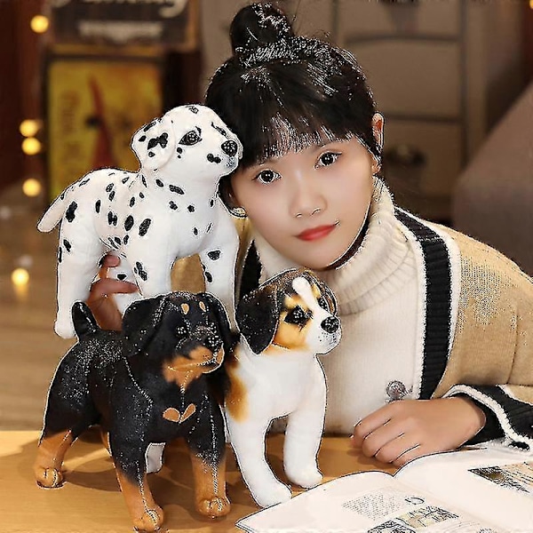 1:a 25cm Simulerings Söt Hund Plysch Leksaker Härlig Husky Akita Rottweiler Djur Hund Dockor Fyllda Mjuka Leksaker för Barn Pojkar Julklapp Korn stad