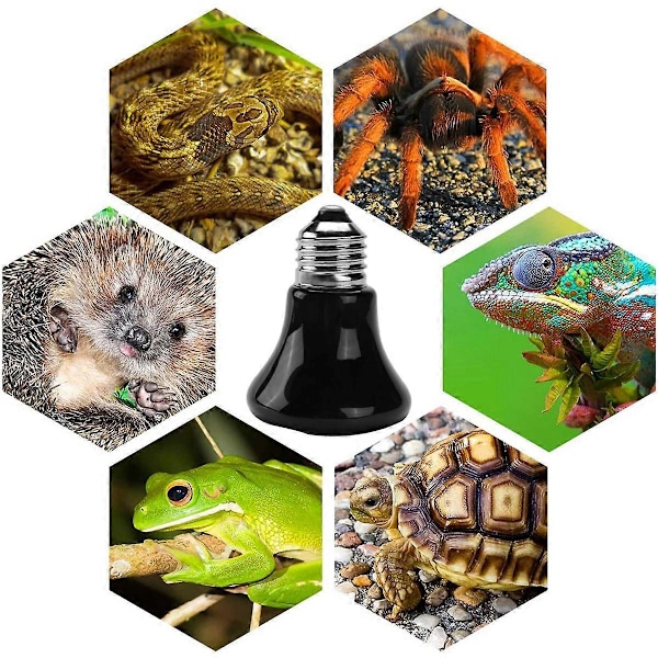 Varm E27 Kæledyrs Varmelampe Sort Infrarød Keramisk Emitter Varme Pære Kæledyrs Rugemaskine Reptil Lampe 220 75W