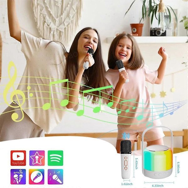 RGB-valo Bluetooth 5.3 -kaiutin langattomilla kaksoismikrofoneilla KTV DSP -järjestelmä 3D HIFI Stereo Surrou