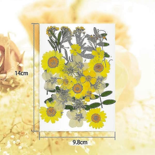 36 ægte tørrede pressede blomsterblade til DIY-lys, harpikssmykker, neglevedhæng, håndværk