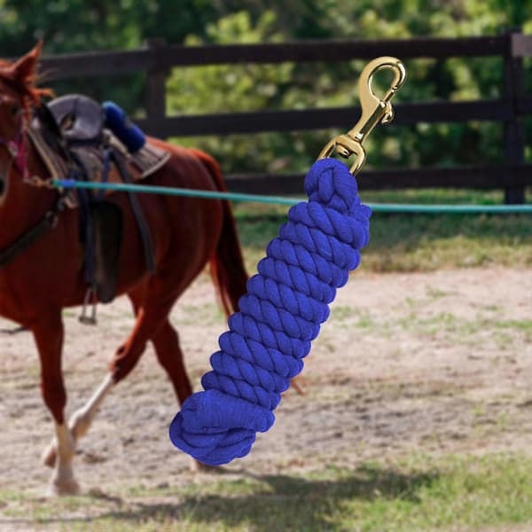 Hästledrep Hästutrustning Tygelrep Hästledrep Hästkoppel Blue