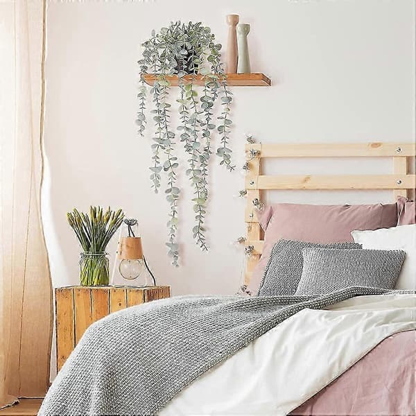 Eucalyptus potteplante til rumvægsindretning 1 stk.