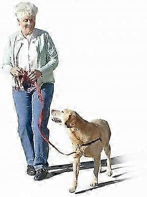 NoPull Hundesele til træning - Senseation Original (Blå, MellemStor Bred)