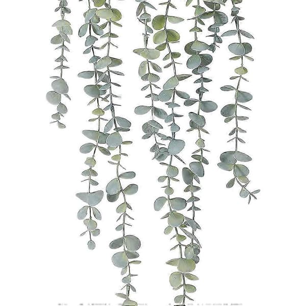 Eucalyptus potteplante til rumvægsindretning 1 stk.