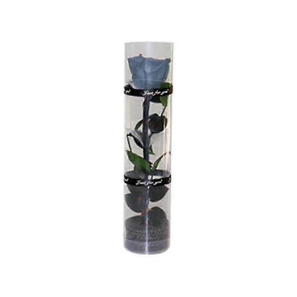 Glassdekket Evig Rose - Luksuriøs Bevart Blomstergave grey blue