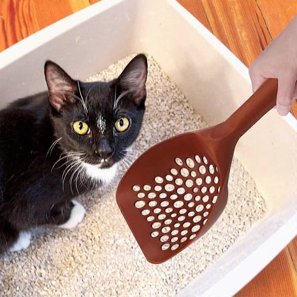 Kattsandsskyffel, ergonomisk design säkerställer snabb rengöring för din kattvän
