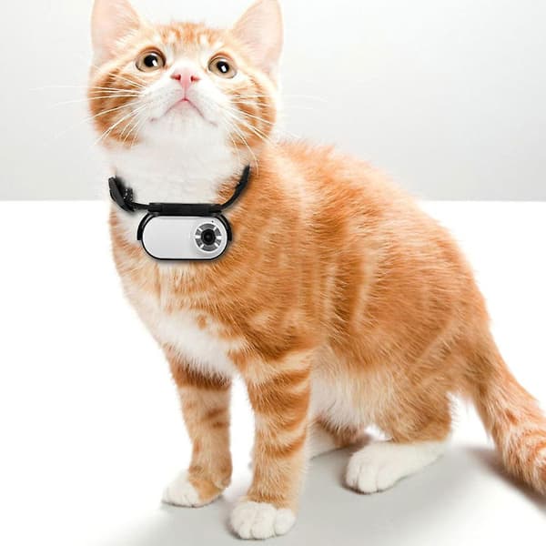 HD 1080P Cat Camera Collar with Video Recording Wireless Mini Action Camera, Small Action Camera, Portable Pet Camera