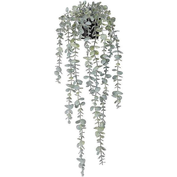Eucalyptus potteplante til rumvægsindretning 1 stk.