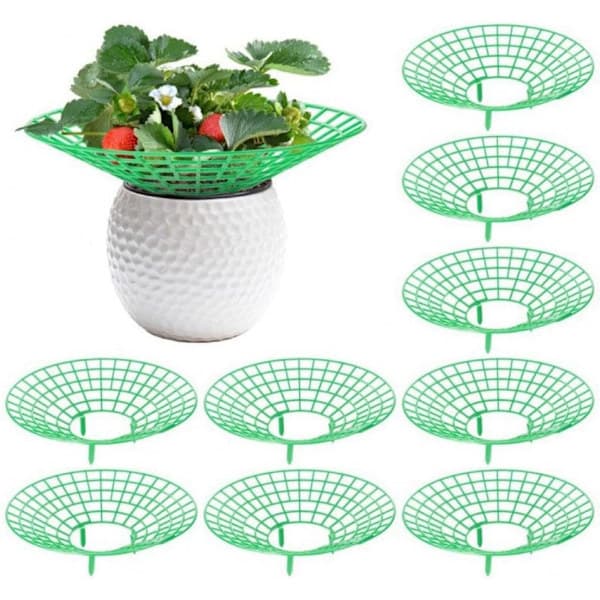 10-pack Strawberry Support, Plant Support with 3 Legs, Strawberry Growing Stand 10 pcs.