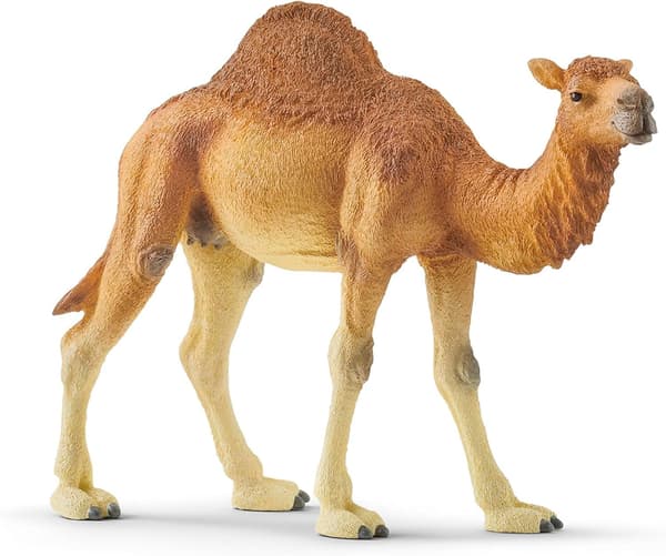 Realistisk kamelfigur - Meget detaljeret, holdbart vildt dyr-legetøj, ideelt til læring og leg, perfekt