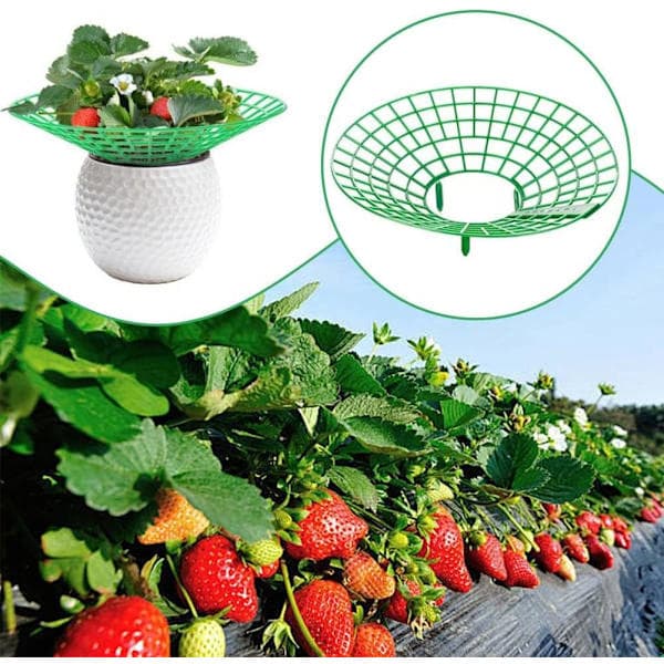10-pack Strawberry Support, Plant Support with 3 Legs, Strawberry Growing Stand 10 pcs.