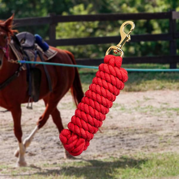 Hästledrep Hästutrustning Tygelrep Hästledrep Hästkoppel Red