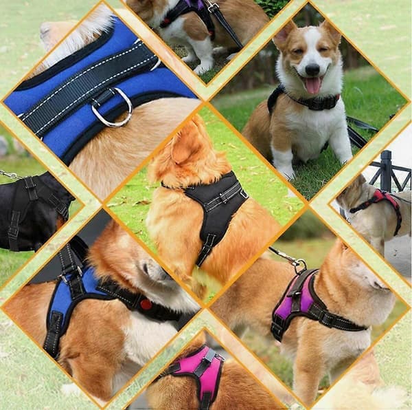 1* Justerbar \"No Pull\" Sele för Hund och Katt med Gratis 1* Infällbart Koppel Hållbart X-Small Black