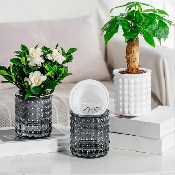 Texturerad Bubbeldesign - Modern Nordisk Look - för Snygga Inomhusväxter Grey