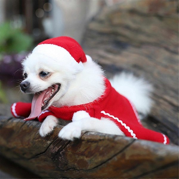 Julkappmantel för valp, husdjurskappmantel, julkappmantel i fleece, juldräkt för husdjur, cosplay för husdjur