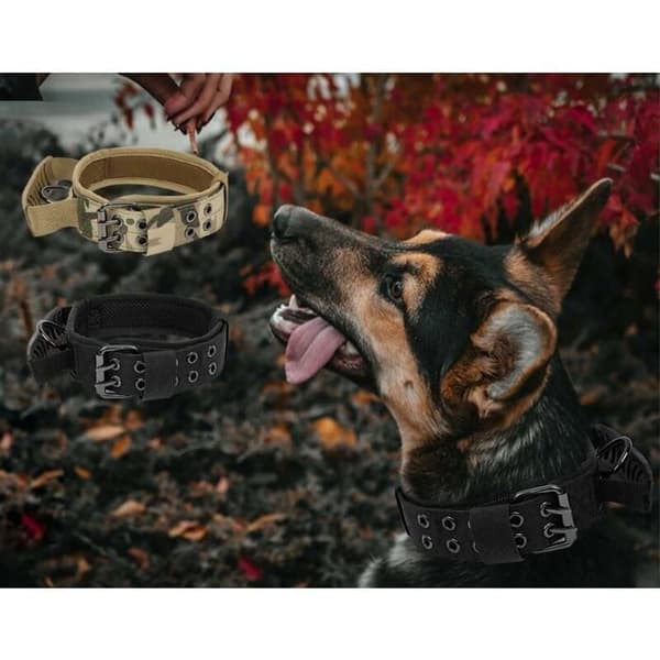 Taktisk hundehalsbånd - K9 Model - Justerbart - Polstret - Størrelse L - Sort