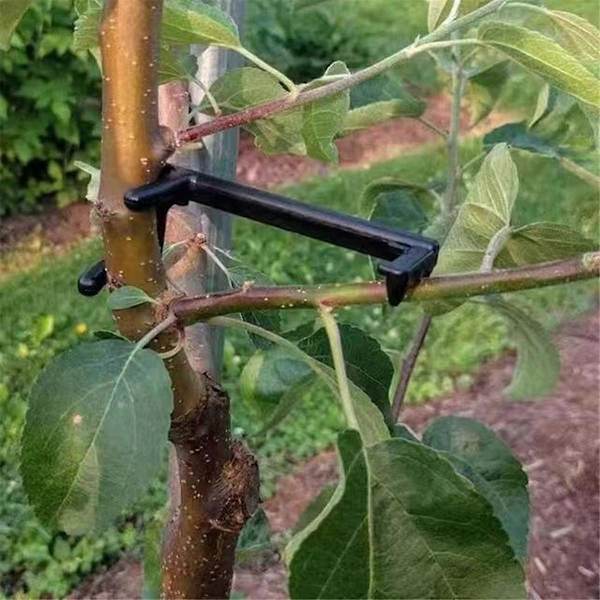 Fruktträdsgrensträckare, för att sträcka grenar, fruktträdsgrensträckare, växtstamträning