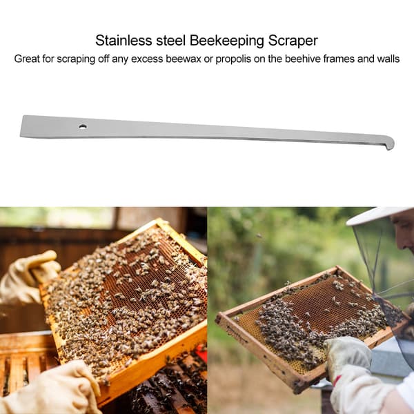 1 pc Stainless Steel Beehive Scraper Frame Cleaning Tool Beekeeping Equipment