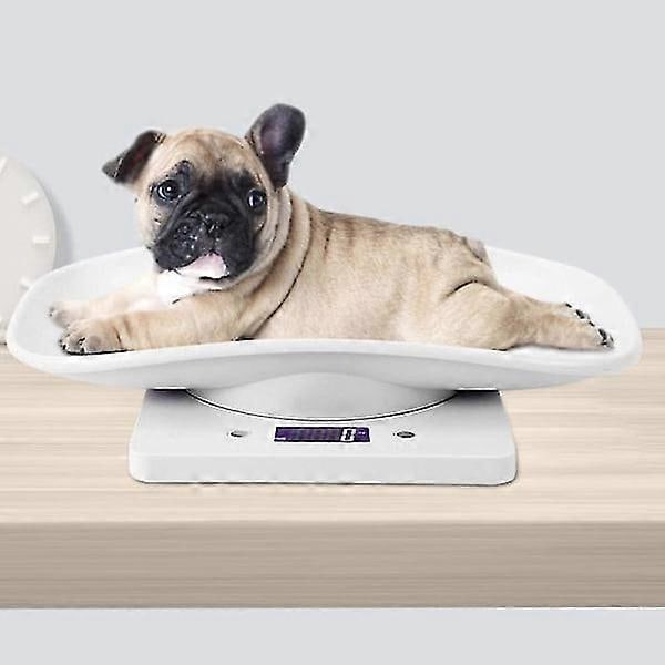 10kg/1g Digital Vægt til Små Dyr til Præcis Måling