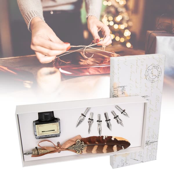 Retro Feather Dip Pen Set Stainless Steel Nib Calligraphy Writing Kit with Gift Box