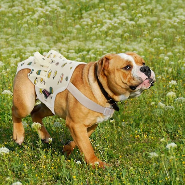 Hundhygienbyxor med hängslen, justerbara blöjor för hanhundar och tikar, franska bulldogg fysiologiska byxor bomullsöverall