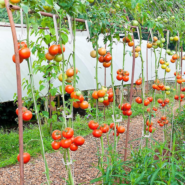 Tomat Rack Krokar, Tomat J Rack, 12 delar Tomat Rope Krokar Rack med 10m rep, tomat krok, tomat krok clips.