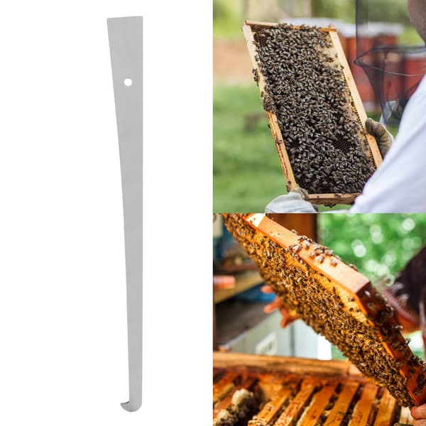 1 pc Stainless Steel Beehive Scraper Frame Cleaning Tool Beekeeping Equipment