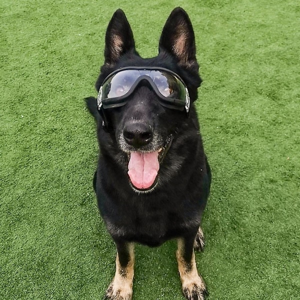 Hund Anti-UV-glasögon Solglasögon Husdjur Vattentäta Skyddande Ögonskydd För Stora/Mellanstora Hundar