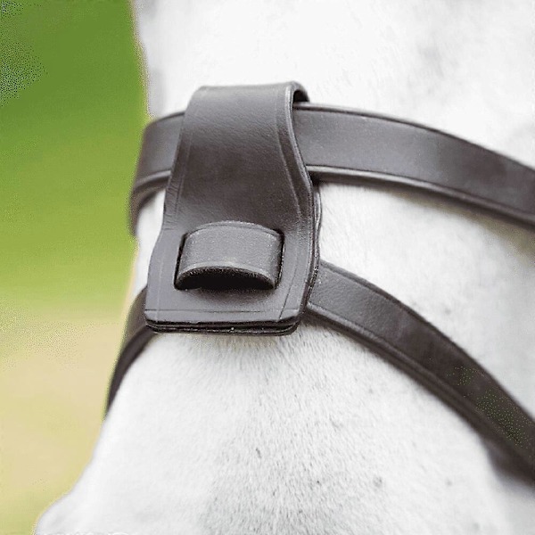 Blenheim Läder Fulmer Loops för Häst (2-pack)