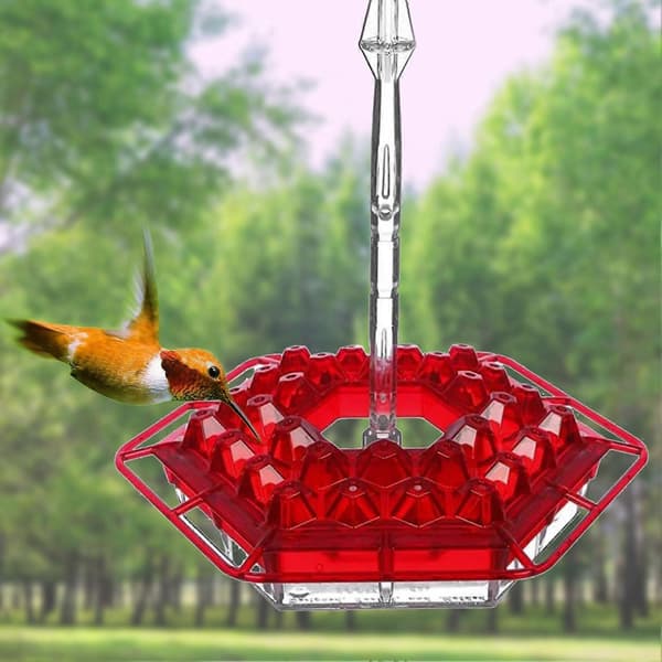 Kolibrinsyöttölaite, pitkä putkimallinen kolibrinsyöttölaite, lintulauta