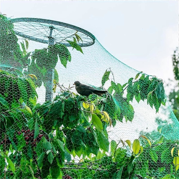2 stk. Have Net til Have, Fuglenet til Havehegn, Vinmark Frugt Grøntsager Planter Damhegn, 2x10M