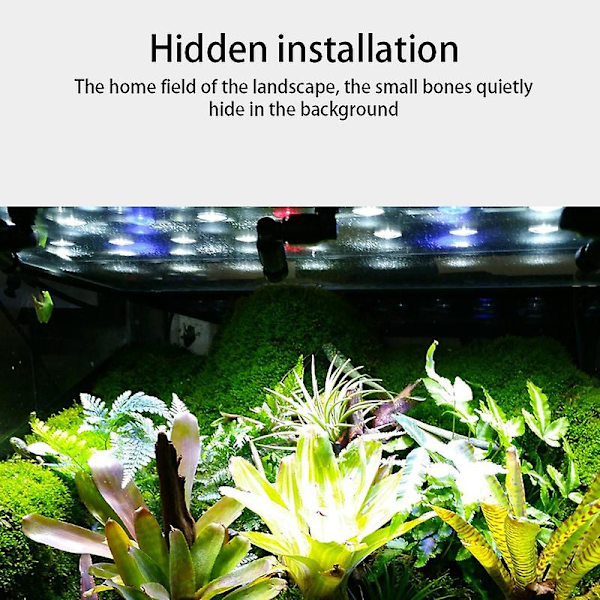 Dimma Mist Sprinkler Regnskog Tank 360 Justerbart Akvarium Vattenlevande Husdjurs Kylsystem