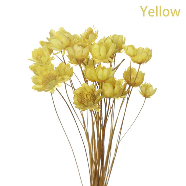 Mordely 30st dekorativa torkade blommor Mini Daisy GUL yellow