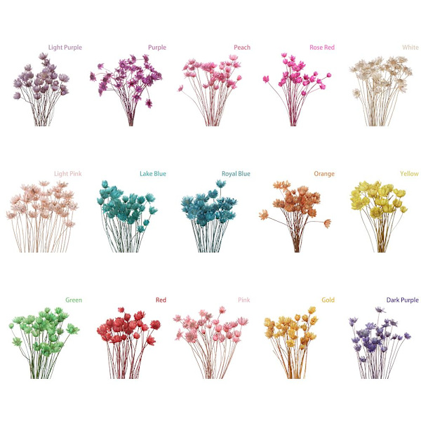 Mordely 30st dekorativa torkade blommor Mini Daisy PEACH peach