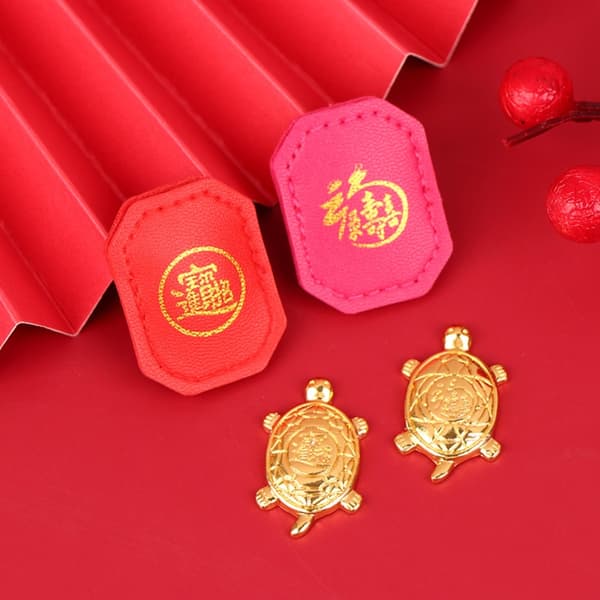 Mordely 2st present Miserly Turtle Feng Shui 3